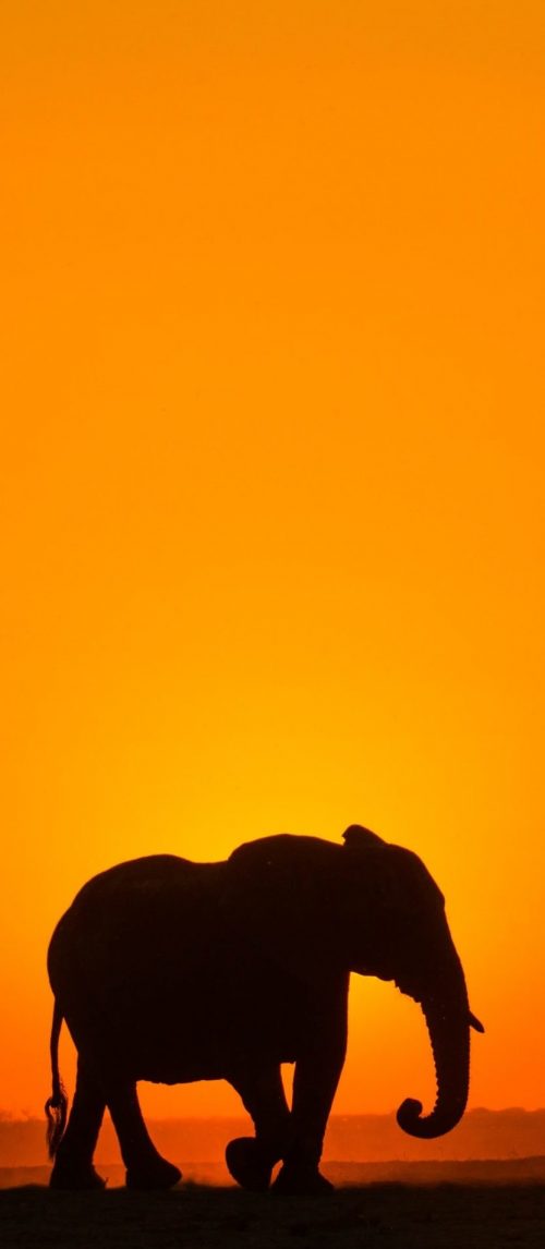 atwena-goodman-PB4dNSELi_E-unsplash atwena-goodman-PB4dNSELi_E-unsplash